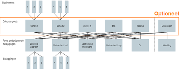 Schematic representation of the layered order model